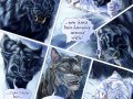 roc_theory_of_mind_p26_by_blackmystica-d5igrwg.jpg